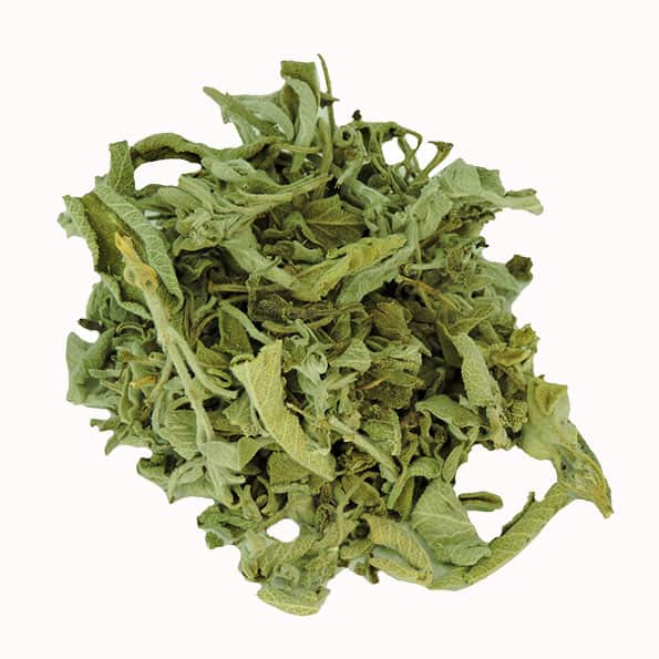 ADA CAY \ SALIE BLAD HEEL