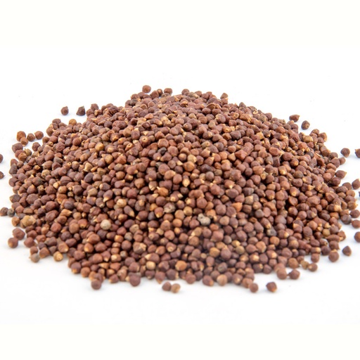 PARADIJSZAAD PEPER 